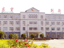 午夜人妻理论片天堂影院